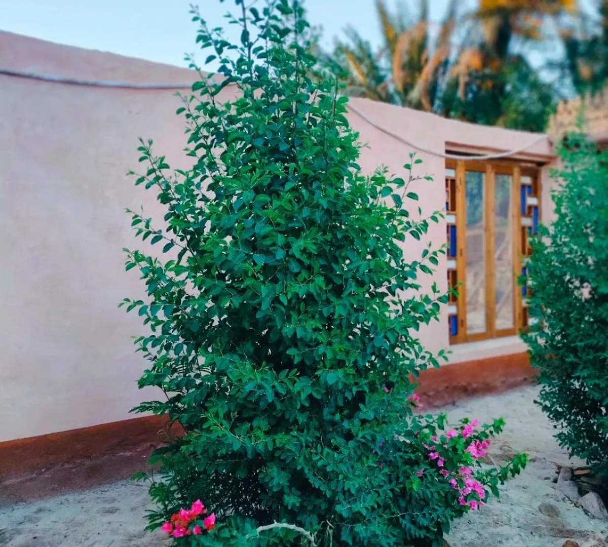 Abou El Leef Villa 樂蜀 0*,  埃及